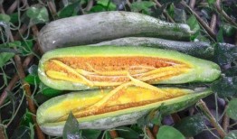 网红吃瓜爆料718,718事件背后的惊人真相