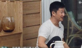 吴京内部爆料事件真相视频,真相背后的惊人内幕