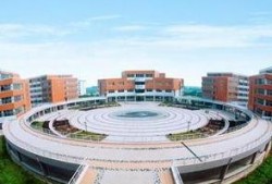 安阳工学院瓜免费吃,免费共享，校园生活新风尚