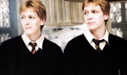 小李子做餐饮爆料视频大全,餐饮行业爆料视频大全