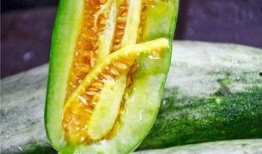 vx网红吃瓜免费,免费体验，带你领略网络热点的魅力