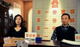 在线观看婚姻料理,一场味蕾与情感的烹饪之旅