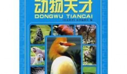 走进科学在线观看