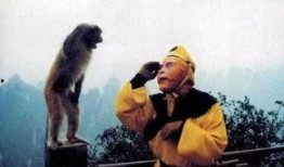 十二猴子在线观看,十二猴子在线观看之旅