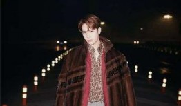 爆料阿飞王嘉尔视频,揭秘明星私下真实一面