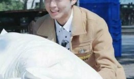 王俊凯爆料罗晋视频播放,视频播放引网友热议