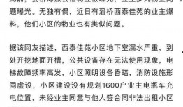 开朗的网友爆料视频,开朗视频引发热议，网友直呼太治愈！