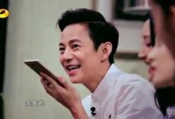 苏醒爆料何炅视频播放大全,何炅视频播放大全背后的精彩瞬间