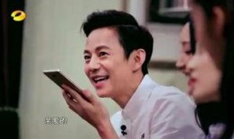 苏醒爆料何炅视频播放大全,何炅视频播放大全背后的精彩瞬间