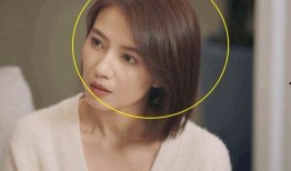 深圳男子爆料新闻视频播放,揭秘事件背后真相