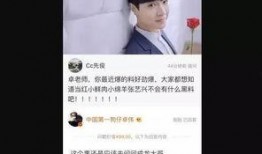 卓伟爆料张艺昕视频在线观看,张艺昕私密视频在线观看，真相揭秘