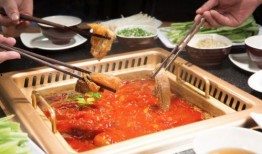 平城美食爆料事件视频下载,视频下载背后的真相与争议