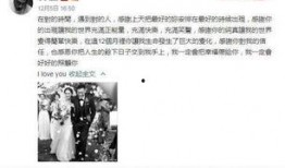 娱乐公司吃瓜事件视频,揭秘娱乐公司内部惊人事件