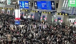 在线观看 蚁群,揭秘自然界中智能集群行为的奥秘