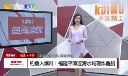 福建工厂爆料视频播放网站,揭秘工厂真实面貌