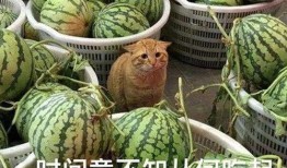 网红吃瓜爆料718,718事件背后的惊人真相