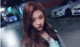 网红黑爆料视频,视频曝光背后的真相与争议