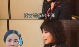 爆料王菲打牌视频大全集,打牌视频大全集曝光！