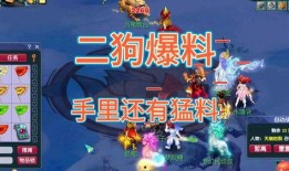 二狗梦幻爆料视频在线观看,独家视频带你领略幕后真相