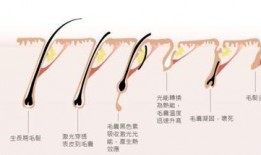 陕西医美爆料事件视频曝光,揭秘行业乱象与患者权益受损