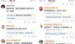 爆料网红卖货视频,揭秘网红卖货视频背后的真相与技巧