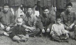 江南1960在线观看,穿越时空的青春记忆