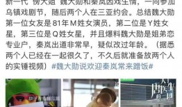 内娱爆料魏大勋视频,内娱爆料引发热议