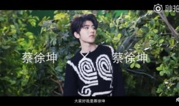 爆料蔡徐坤视频,揭秘明星背后的真实生活