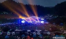 奥地利绝密爆料视频,绝密爆料视频背后的惊人真相