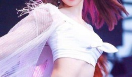 晋江二姐爆料视频大全集,揭秘娱乐圈幕后真相