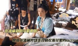 扒叔爆料张凌赫视频播放,张凌赫视频幕后真相，播放量惊人！