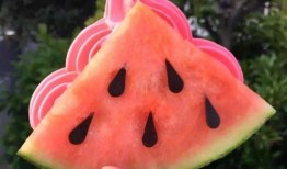 甘南网红吃瓜,揭秘当地美食背后的故事