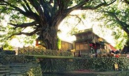 云水谣在线观看,穿越时空的深情演绎