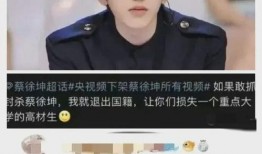 爆料蔡徐坤视频,揭秘明星背后的真实生活