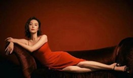 大嫂八卦爆料视频大全,视频大全背后的惊人真相