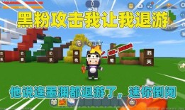 迷你世界黑粉爆料视频,真相与争议并存