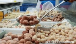中国食品丸子爆料视频,视频爆料揭示生产内幕