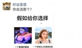 搞笑爆料神评视频大全集,笑点满满，回味无穷