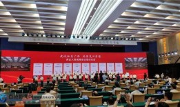 元哥无心爆料视频下载,独家下载与幕后真相