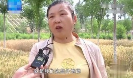 放羊娃大姐爆料视频播放,真实事件引发网友热议