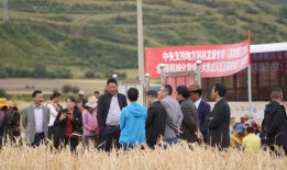 甘孜企业爆料事件最新,揭开背后真相与挑战