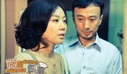 在线观看婚姻料理,一场味蕾与情感的烹饪之旅