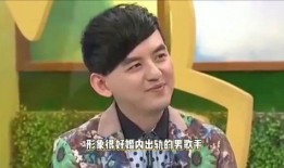 爆料男歌手出轨视频大全,揭秘男歌手出轨视频事件大盘点