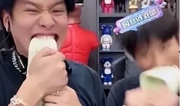 小杨哥爆料视频合集,揭秘幕后真相与精彩瞬间