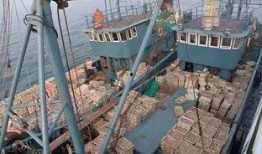 江苏爆料非法捕捞案件最新,守护碧水清波，严惩违法行为