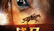 战马免费观看在线观看,免费在线观影，感受史诗般的战争传奇