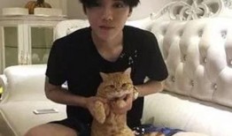 北京爆料博主是谁呀视频,北京爆料博主身份之谜