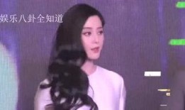 娱乐八卦爆料范冰冰视频,娱乐八卦背后的真相揭秘