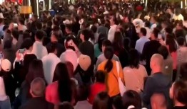 在线观看 蚁群,揭秘自然界中智能集群行为的奥秘