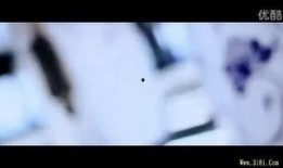 花为眉在线观看,穿越时空的浪漫邂逅
